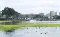 水前寺江津湖公園