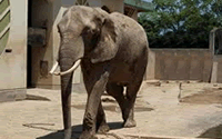 熊本市動植物園