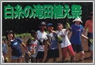 田植え