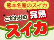 熊本名産スイカこだわりの完熟スイカ