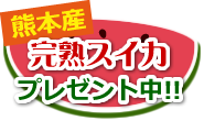 熊本産完熟スイカプレゼント中!!